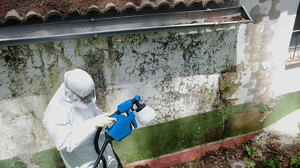 Trusted Mold Testing service in Upperstrasburg, PA - Cheap Mold Removal